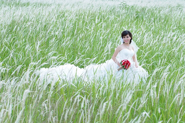 Wedding photo 2490159 640